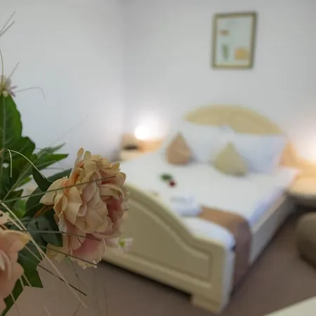 Randy Hotel Constanţa